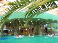 Hungarospa Thermal Hotell Hajduszoboszlo - behandlingar