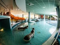 Hungarospa Thermal Hotel Hajduszoboszlo - trädgården